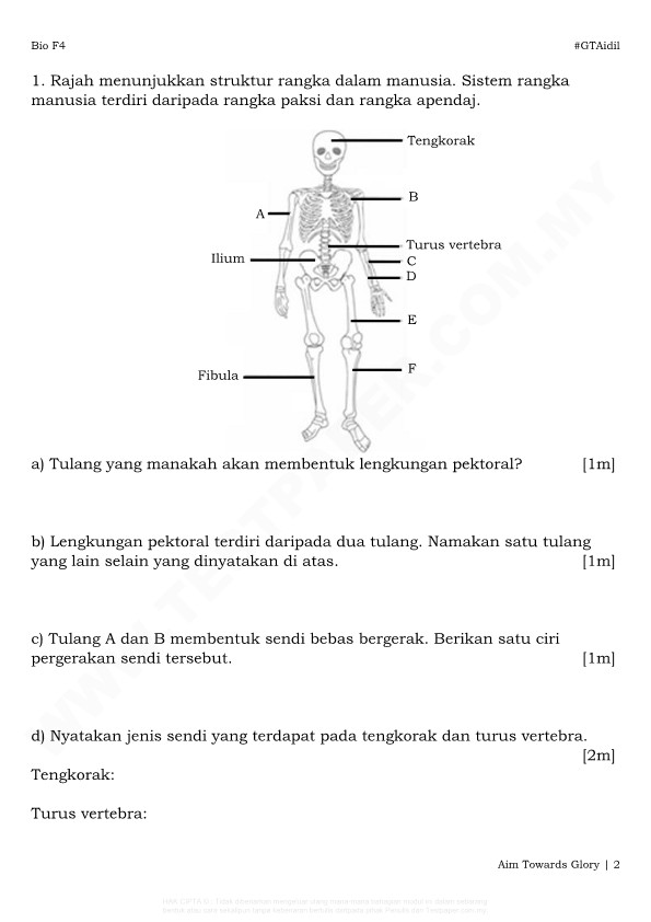 Koleksi Soalan Peperiksaan  Percubaan  Ramalan  Latihan 